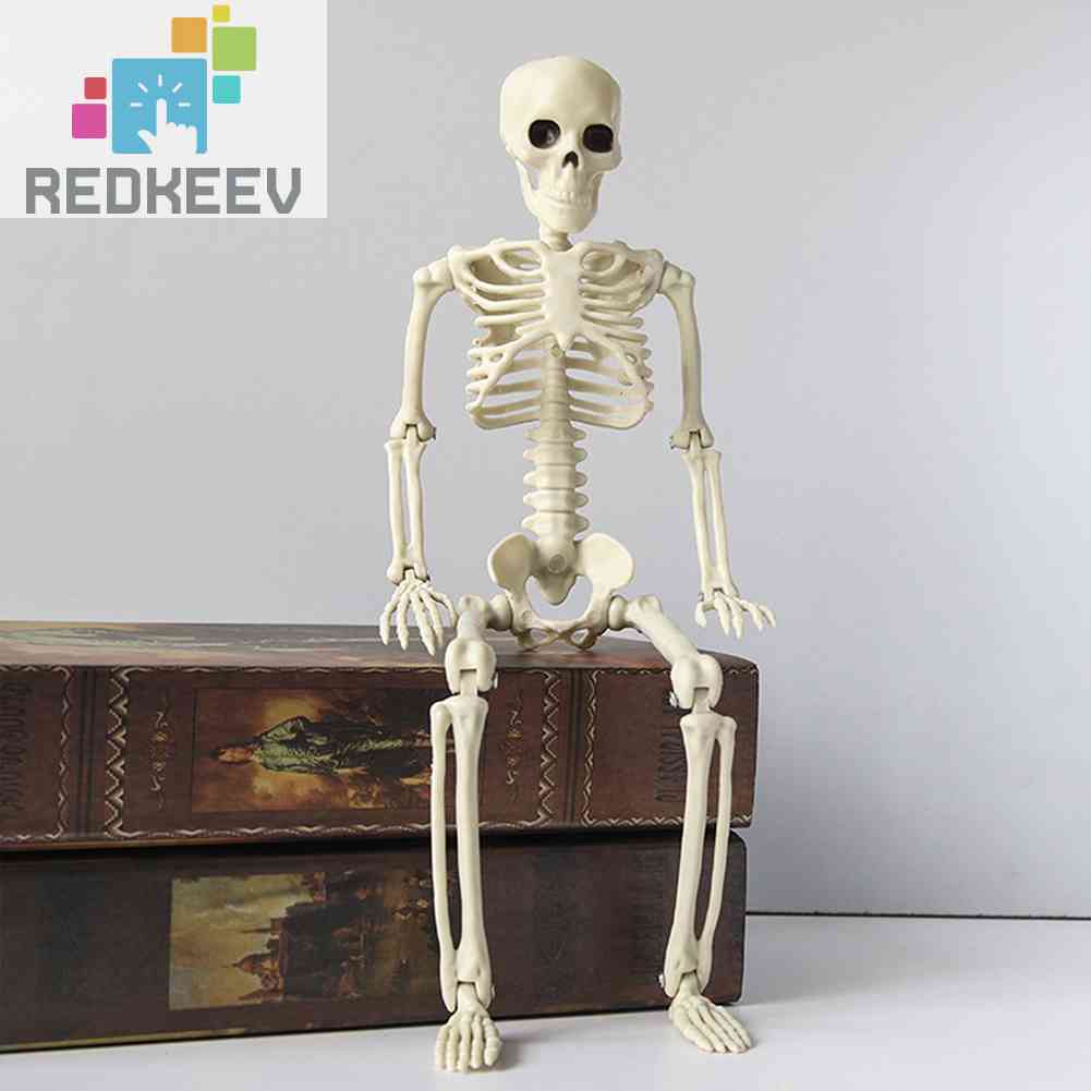 Bộ Xương Người Giả Trang Trí Halloween