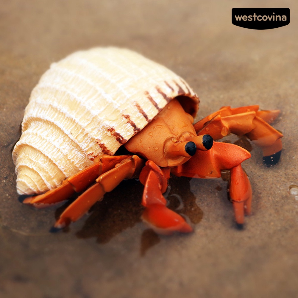 [COD]♋Mô Hình Đồ Chơi Chú Cua Biển Bằng PVC Để Bàn Trang Trí