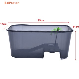 Hộp Nuôi Rùa / Bò Sát Có Bệ Đỡ Đứng