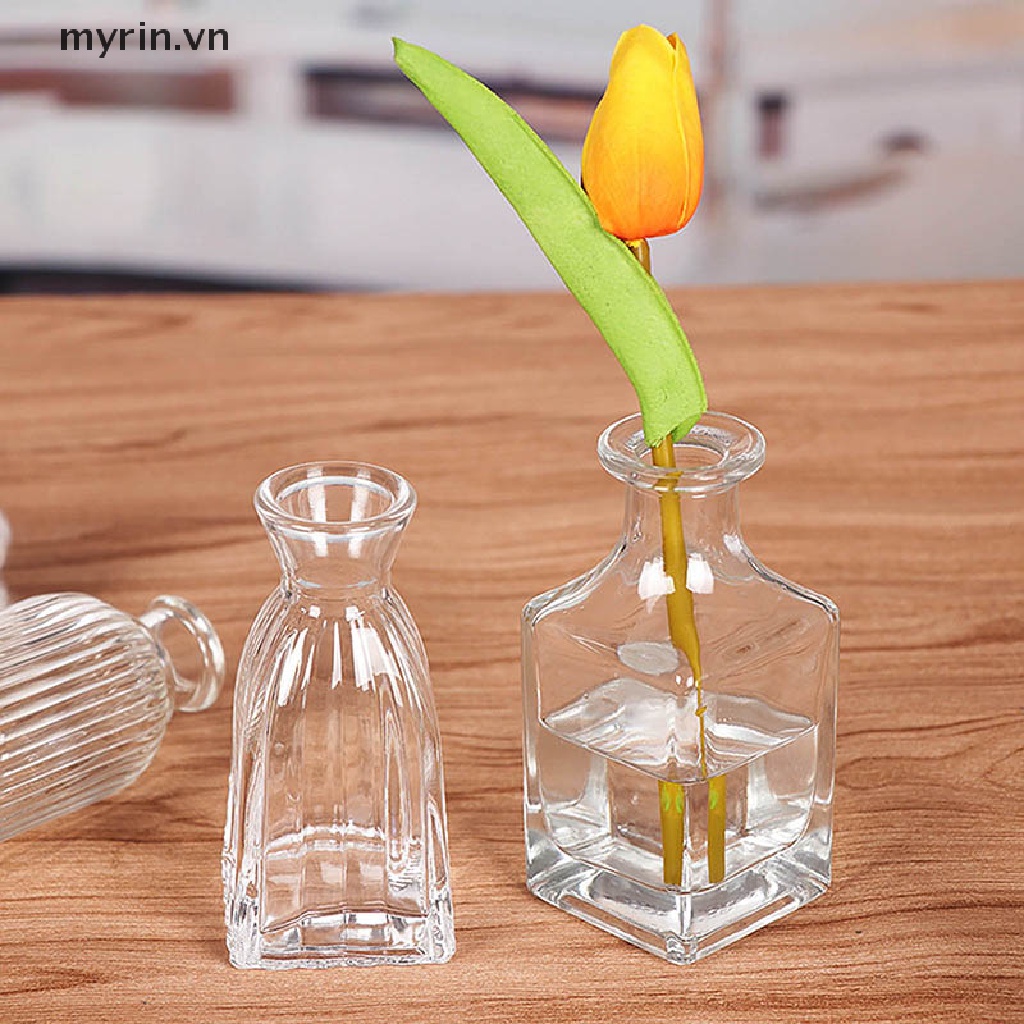 Chậu Cây Mini Để Bàn Trang Trí Đơn Giản Sáng Tạo