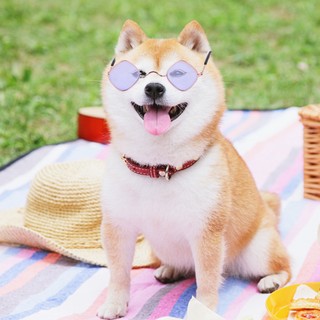 Kính Mát Mắt Mèo Cho Thú Cưng