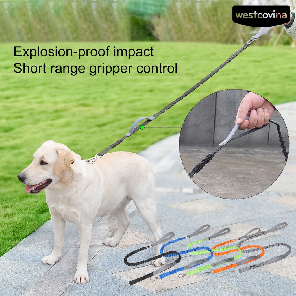 [COD]♝Dây Dắt Thú Cưng Đi Dạo Co Giãn Tốt An Toàn Tiện Dụng