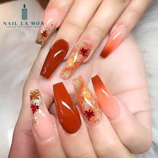[Rẻ vô địch] Nhũ ẩn móng tay Lá Đỏ