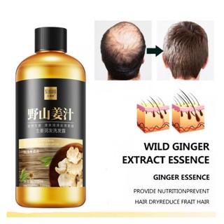 Dầu gội gừng chống gàu kiểm soát dầu làm mềm tóc
