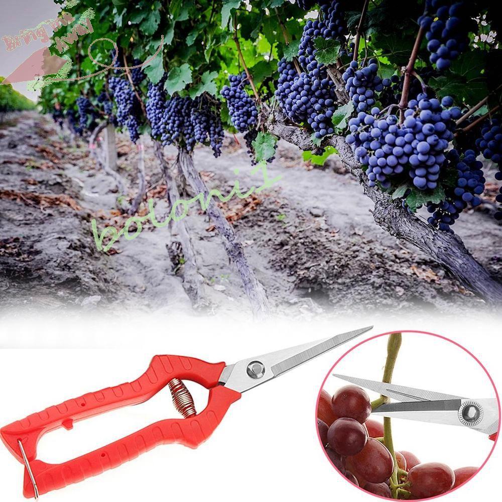 Kéo Cắt Tỉa Cây Cảnh / Hoa / Cây Cảnh Tiện Dụng Cho Sân Vườn