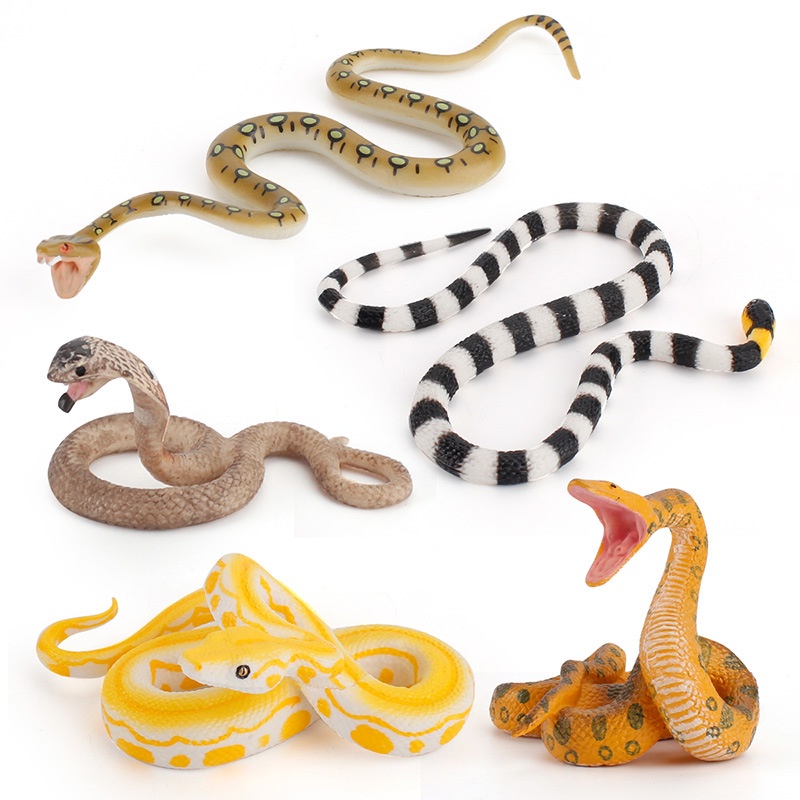 ♞Bán buôn tại nhà máy♞Mô phỏng động vật hoang dã mô hình con rắn vàng boa constrictor rắn hổ mang rắn san hô trẻ em khoa học và giáo dục đồ trang trí nhận thức khoa học và giáo dục đồ chơi nhận thức Máy trợ giảng Montessori