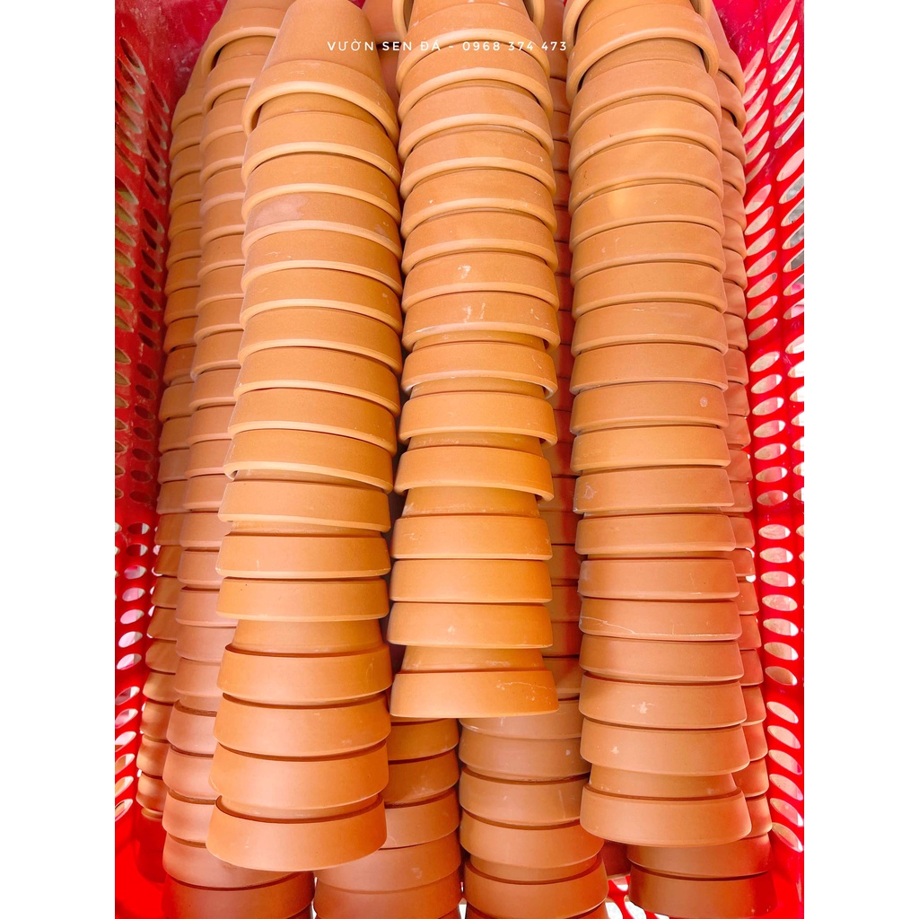 Chậu đất nung mini 5x5cm Trồng sen đá vỉ