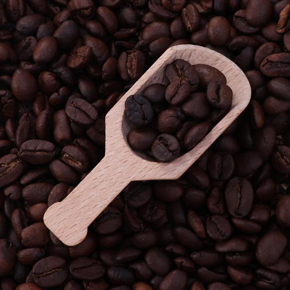 Muỗng Gỗ Không Sơn Phong Cách Nhật Bản|Muỗng Uống Trà Bằng Thép Không Gỉ