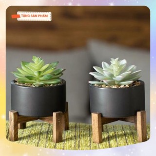 Giá gỗ để chậu cây (Kệ gỗ để chậu cây) làm bằng gỗ Gõ