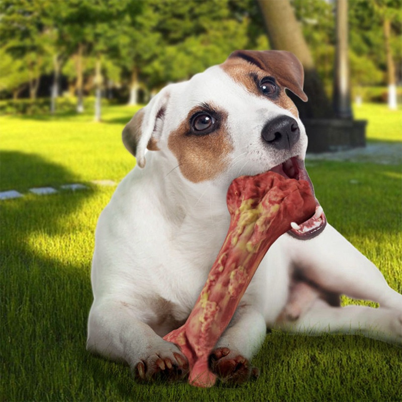 1 Gậy Huấn Luyện Chó Chống Cắn