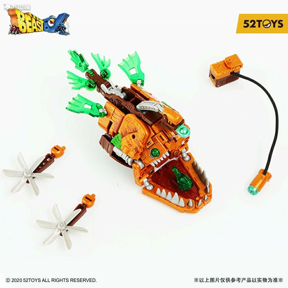 Mô Hình Hộp Sọ Ankang Cá Biến Hình Hợp Thời Trang