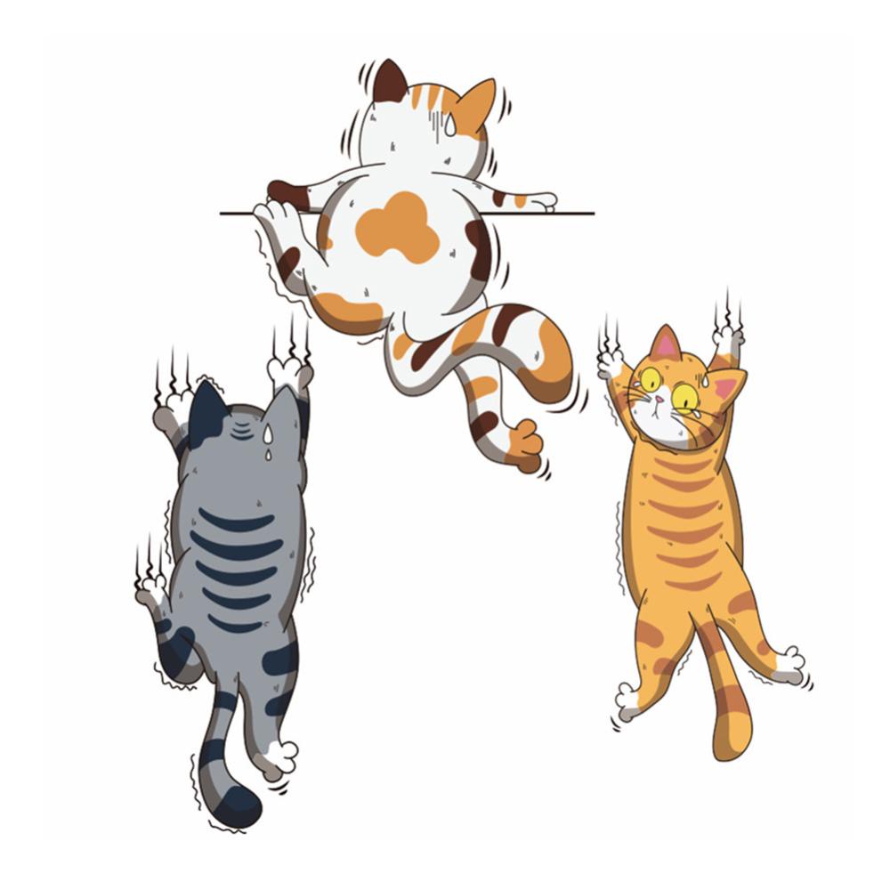 Set 3 Nhãn Dán Trang Trí Xe Hơi Họa Tiết Mèo Leo C8O5