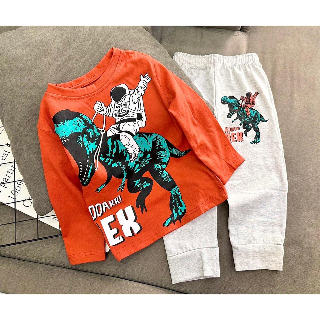 Bộ dài tay cotton xuất dư bé trai size nhí đại VNXK - Bộ quần áo thu đông bé trai tinshop.hcm