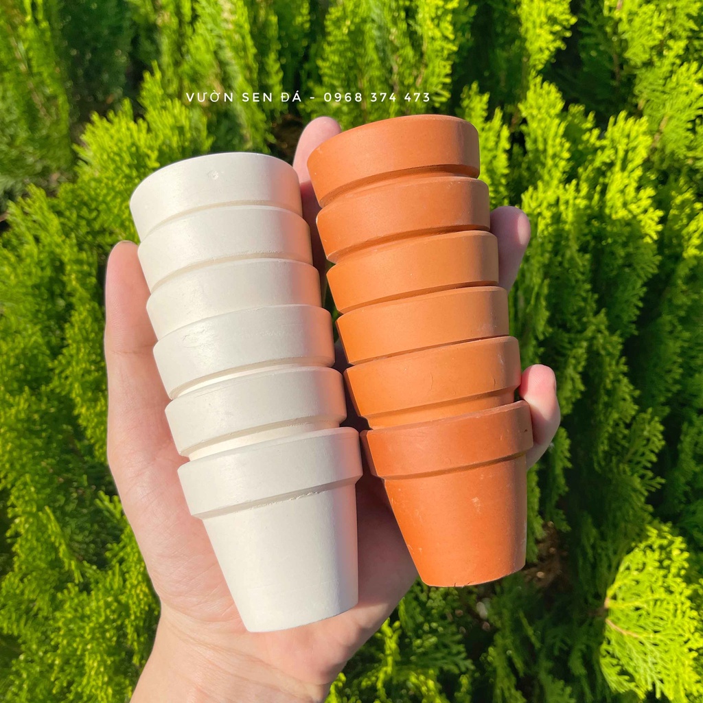 Chậu đất nung mini 5x5cm Trồng sen đá vỉ