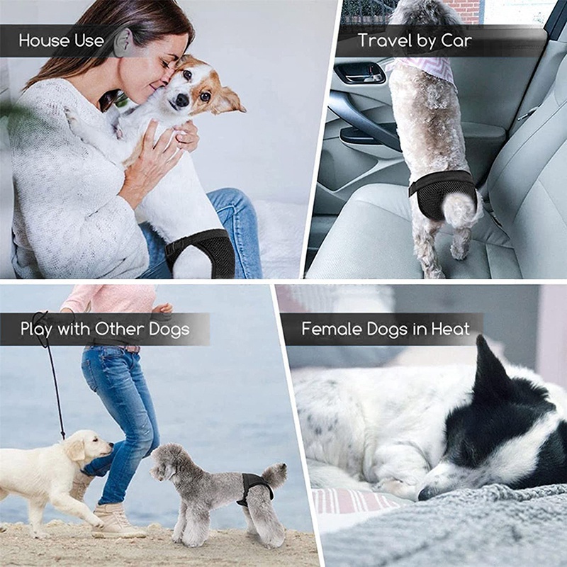 Tã Quần Phối Lưới Thoáng Khí Có Thể Giặt Sạch Dành Cho Cún Cưng