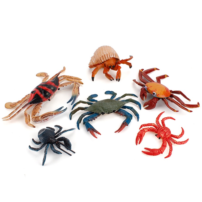 ♞Bán buôn tại nhà máy♞Mô hình cua sinh vật biển mô phỏng, cua hoàng đế ngộ nghĩnh, cua ẩn sĩ, cua dừa, đồ trang trí handmade nhiều loại, giáo cụ Montessori, đồ chơi nhà chơi trẻ em