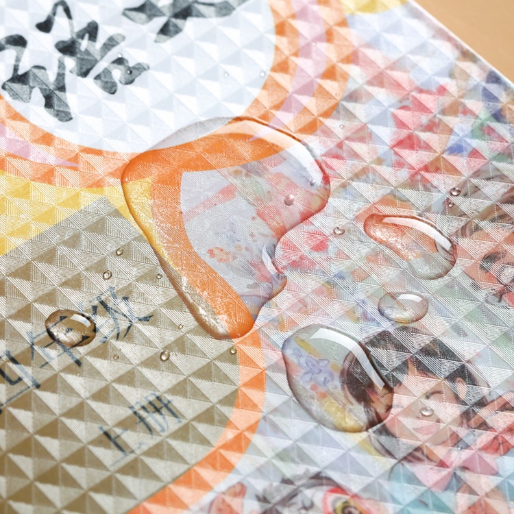 Bộ 10 Tấm Phim Dán Sách Dày Dặn Trong Suốt Chống Trầy Chống Nước Chống Bụi Bảo Vệ Ký Túc Xá Và Trung Học