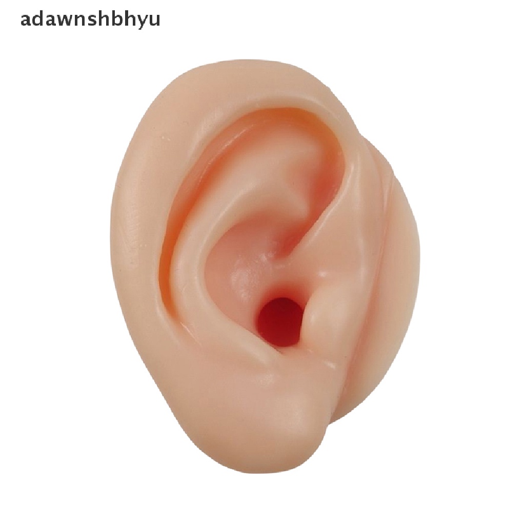 Set 1 / 2 Mô Hình Bấm Lỗ Tai Thực Hành Luyện Tập