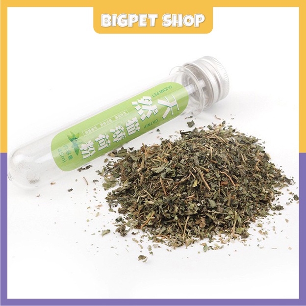 Cỏ bạc hà cho mèo phê pha xả streess