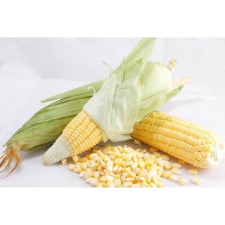 Tinh bột bắp Thái Lan 500g