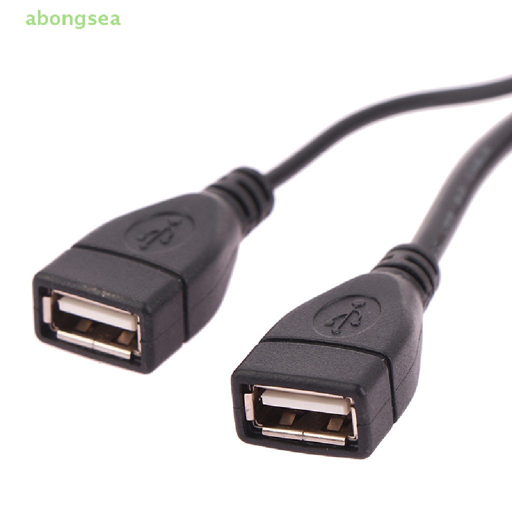 1 Dây Cáp Mở Rộng Chuyển Đổi Từ Giác Cắm 15 / 30cm Sang 2 Ổ Cắm USB 2.0