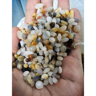 Sỏi suối tự nhiên trang trí bể cá chậu cây Size bằng đầu đũa.