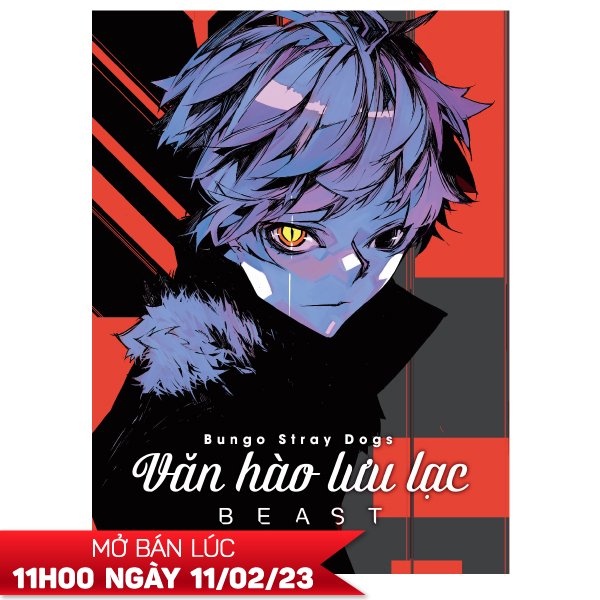 Sách Bungo Stray Dogs - Văn Hào Lưu Lạc - Beast (Manga) (Boxset 4 Tập) |  Shopee Việt Nam