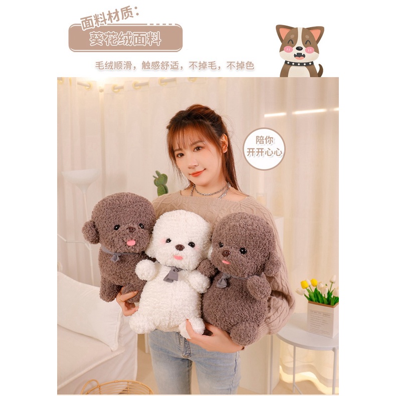 Chú Chó Bichon Nhồi Bông Dễ Thương Dùng Làm Gối Ôm