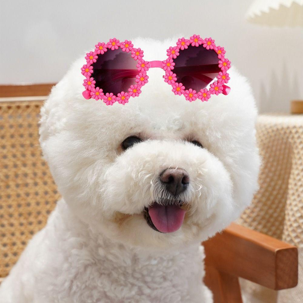 Kẹp Tóc Hình Tròn Họa Tiết Hoa Hoạt Hình Dễ Thương Độc Đáo Thời Trang Mùa Hè Cho Cún Cưng