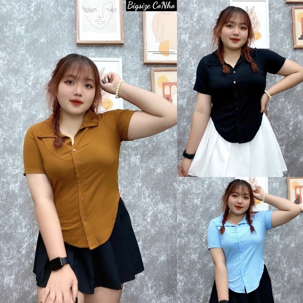 Áo thun tay ngắn bigsize dáng dài cổ bẻ vạt bầu có nút kiểu, Áo phông chất gân tăm co giãn phom rộng 60-95kg G33