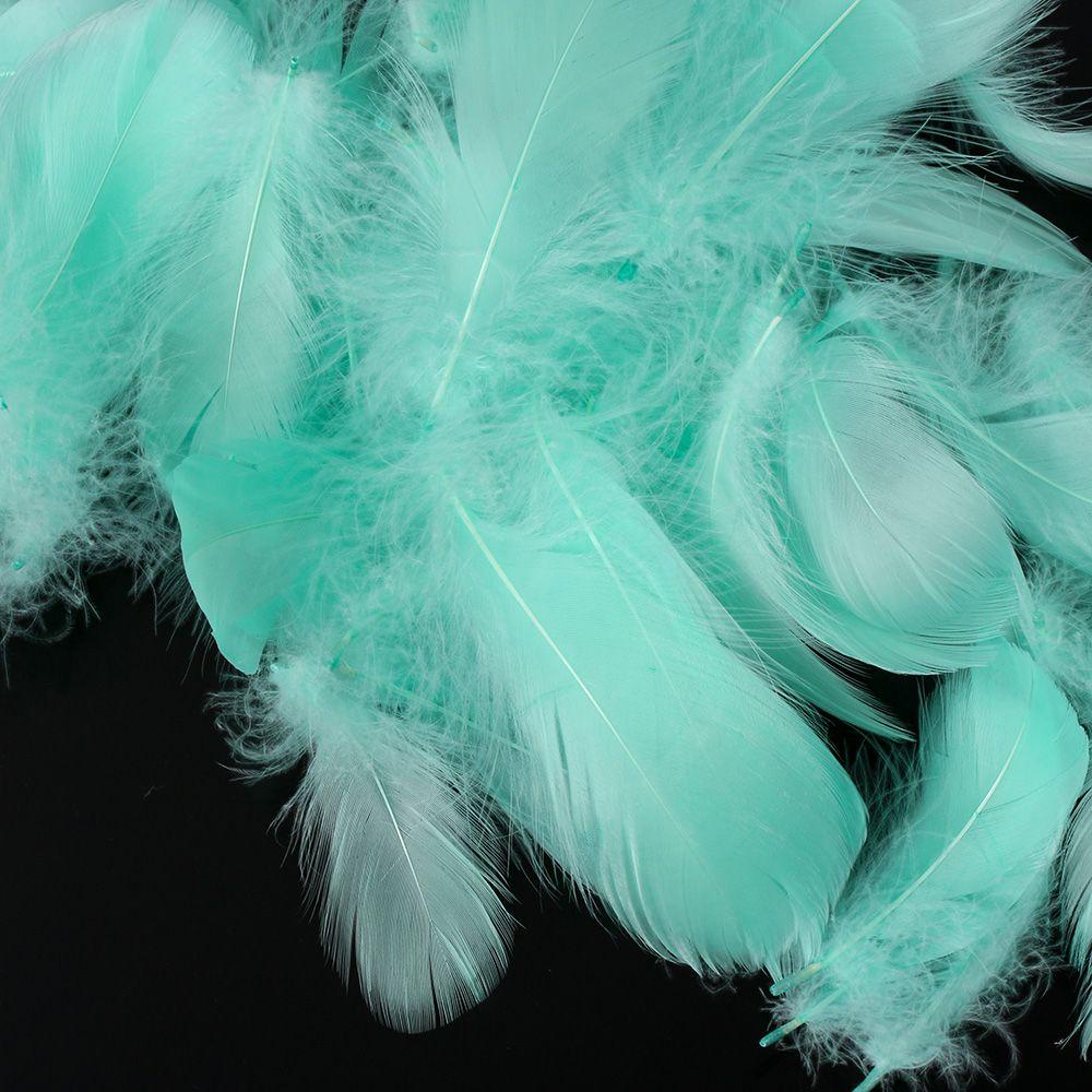 Bộ 100 cái lông vũ nhiều màu dùng cho trang trí DIY