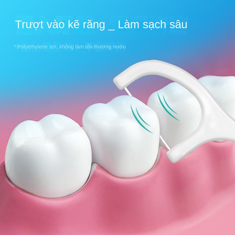 only Một Que Chỉ Nha Khoa Chuyên Dụng Cho Khách Sạn Và Nhà Hàng xyxb105 | BigBuy360 - bigbuy360.vn