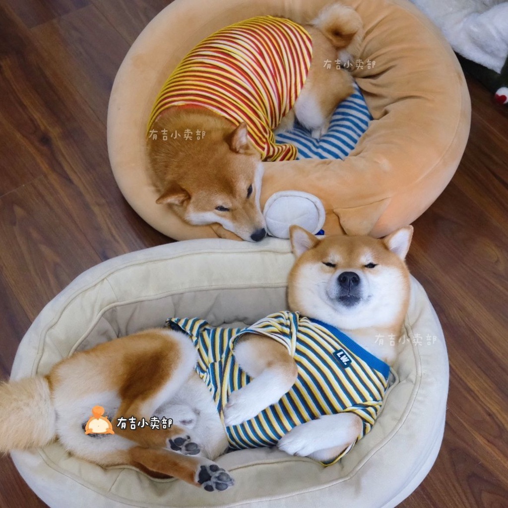 Áo Thun Tay Ngắn Họa Tiết Sọc Ngang Mùa Thu Kích Thước Vừa Và Nhỏ Cho Thú Cưng Chó Mèo Phong Cách Mới