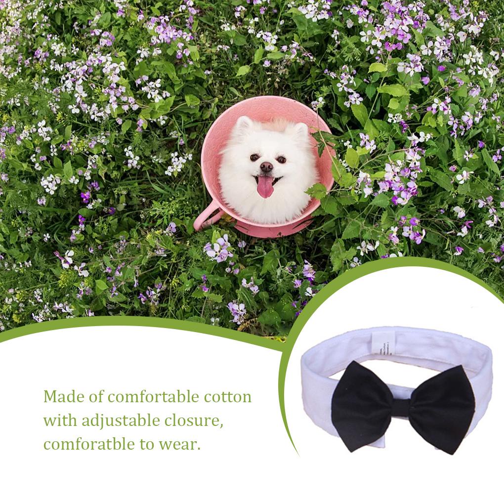 Vòng Cổ HìNh Nơ MàU Đen / TrắNg Cho Thú Cưng