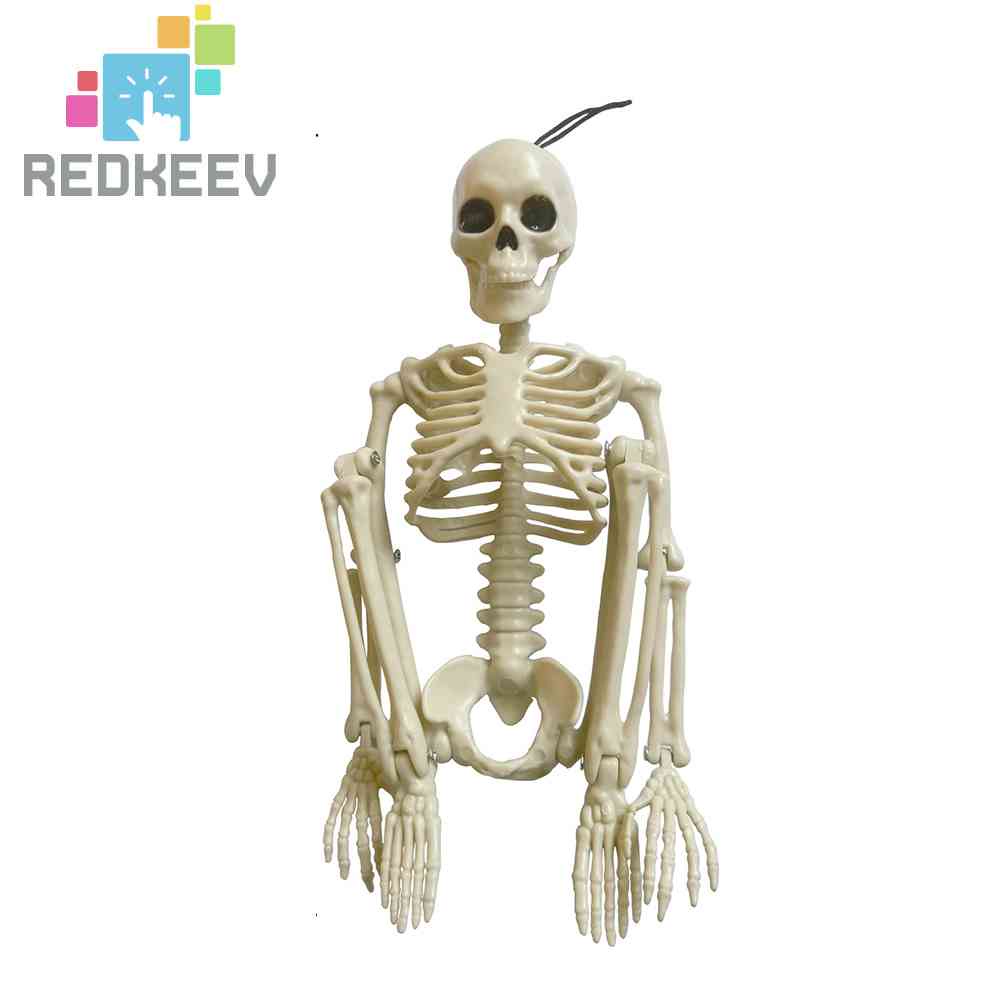 Bộ Xương Người Giả Trang Trí Halloween