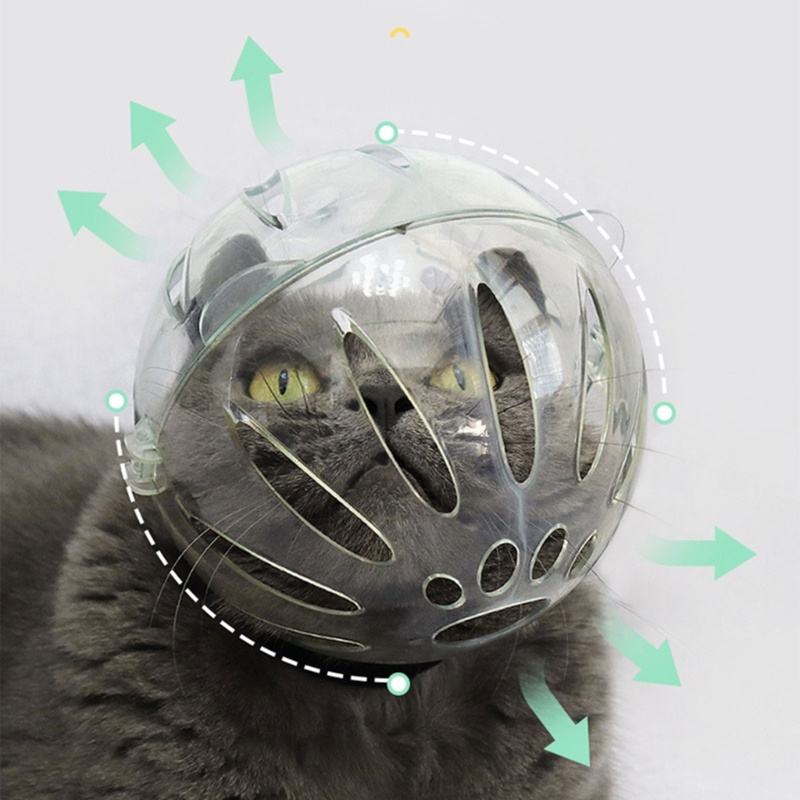 ✿ Mũ Bảo Hiểm Cứng Chống Cắn An Toàn Cho Mèo