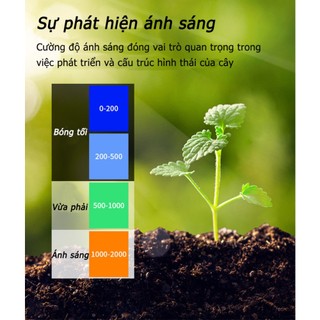【FREESHIP】Máy đo ph đất đa năng, đo độ ẩm, ánh sáng - Máy đo đất 3 in 1,