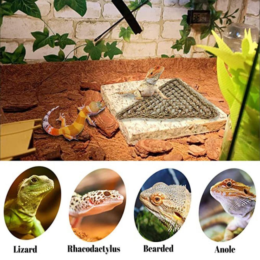 Võng Nằm Cho Bò Sát 1 Cái Với Cốc Hút Mềm