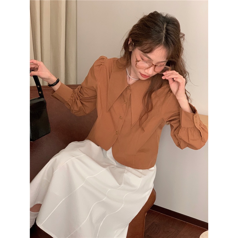 Áo sơ mi SUXI tay dài màu trơn dáng ôm thời trang Hàn Quốc