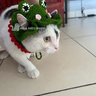 Mũ len dễ thương cho thú cưng
