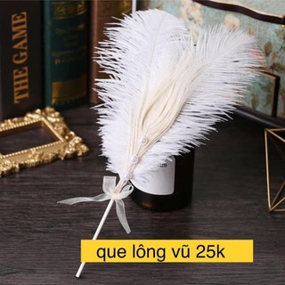 [Rẻ vô địch] Lông vũ chụp ảnh, tráng trí