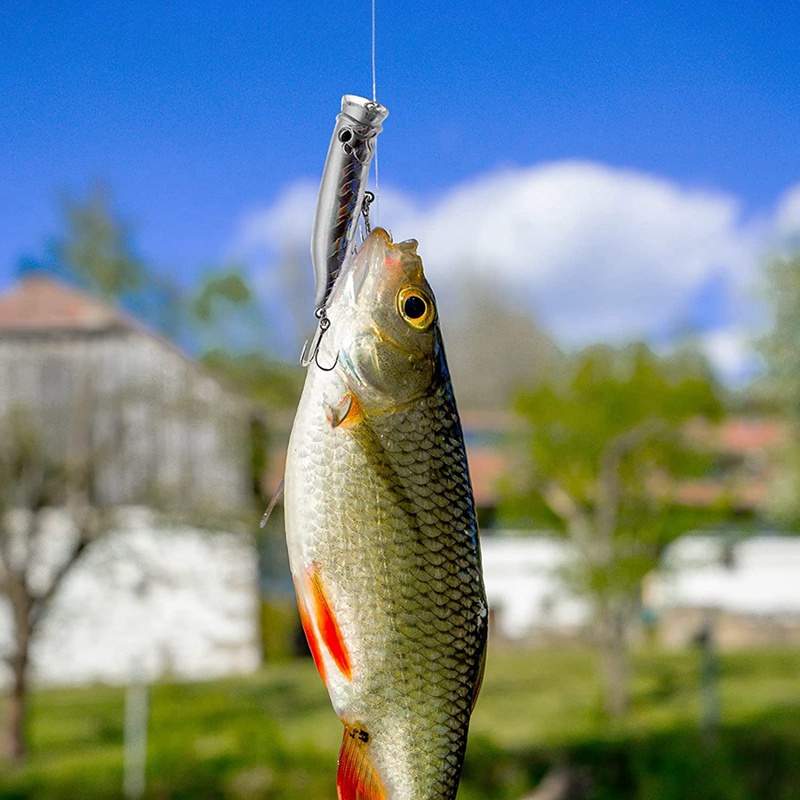 Set 5 Mồi Giả Nhử Cá Bằng Nhựa Cứng Kèm Móc Câu