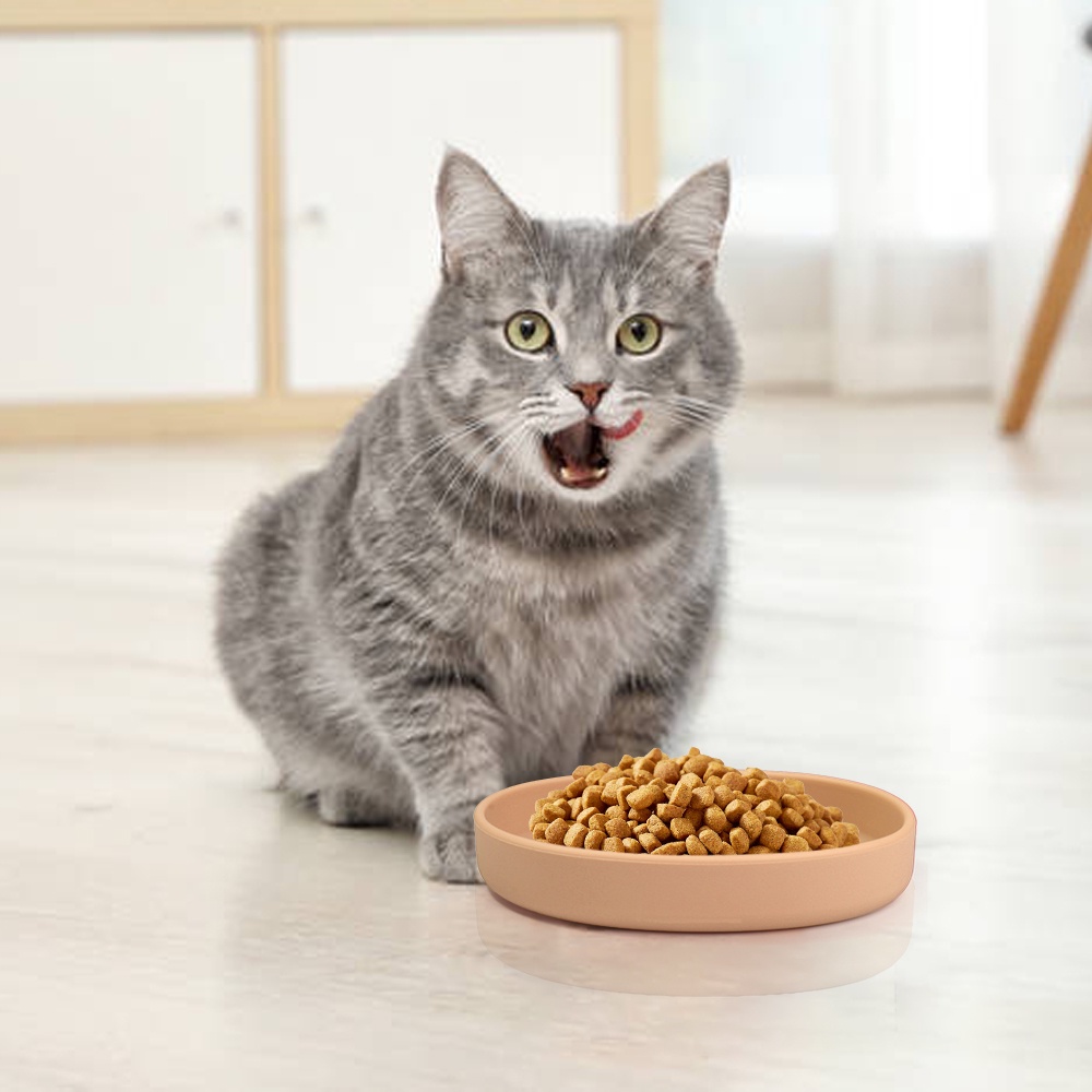 BáT ThứC ăN MèO BáT ThứC ăN PhẳNg đáY MèO BáT Silicone BáT NướC RộNg HìNh BầU DụC MèO BáT ThứC ăN Khô Và ướT NướC BáT