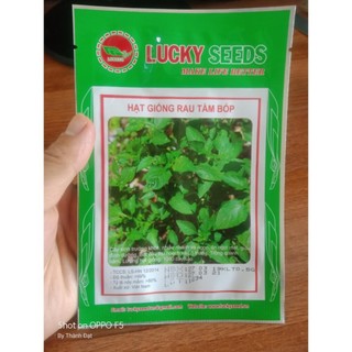 Hạt giống rau tầm bóp 0.5gr tpv