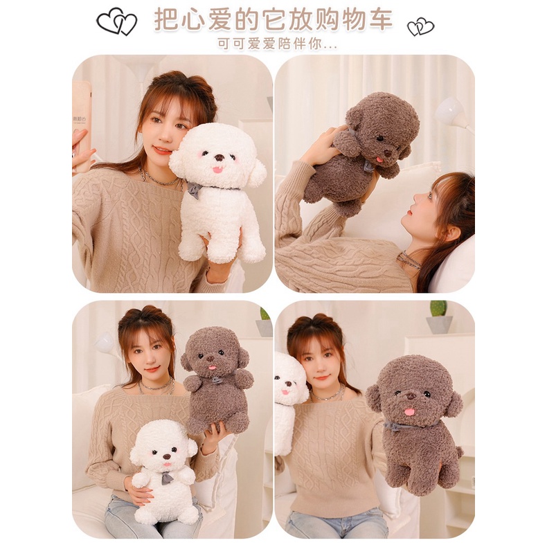 Chú Chó Bichon Nhồi Bông Dễ Thương Dùng Làm Gối Ôm