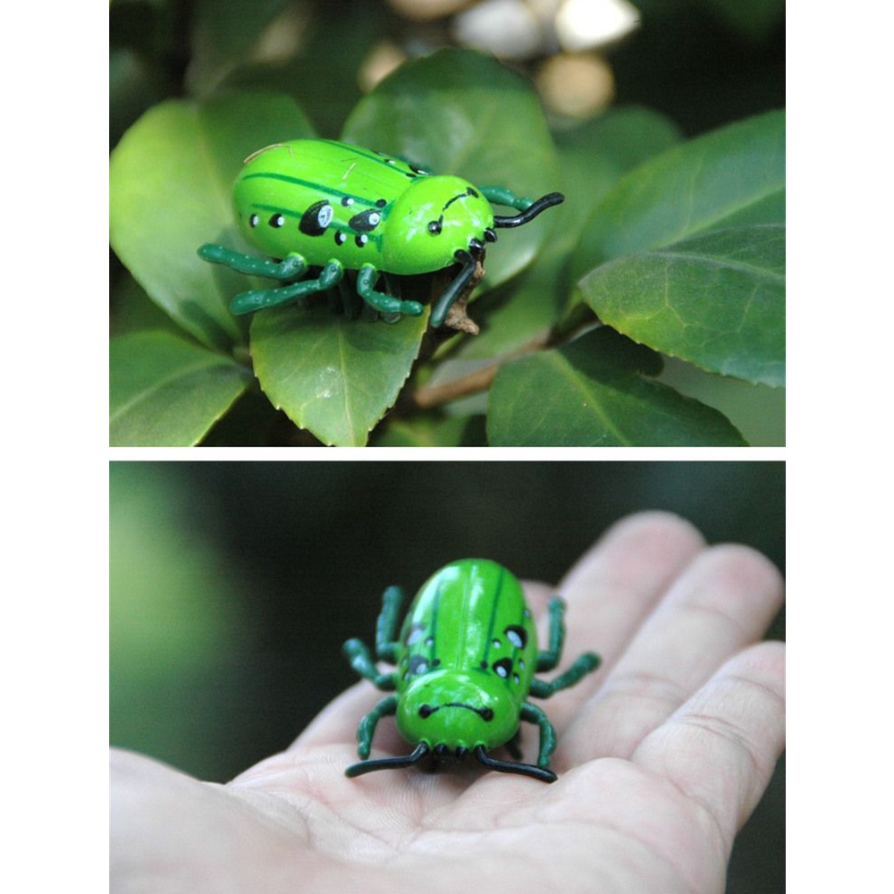 Đồ Chơi Tương Tác Hình Bọ Rùa / Côn Trùng Điện Tử Mini Dễ Thương Cho Mèo Cưng