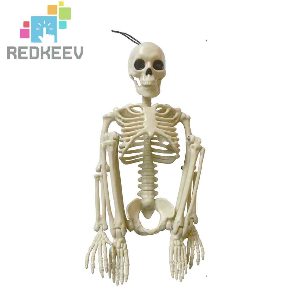 Bộ Xương Người Giả Trang Trí Halloween