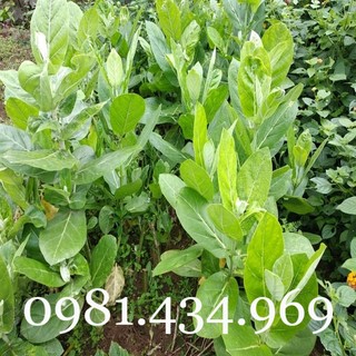 Lá hen khô 01 kg