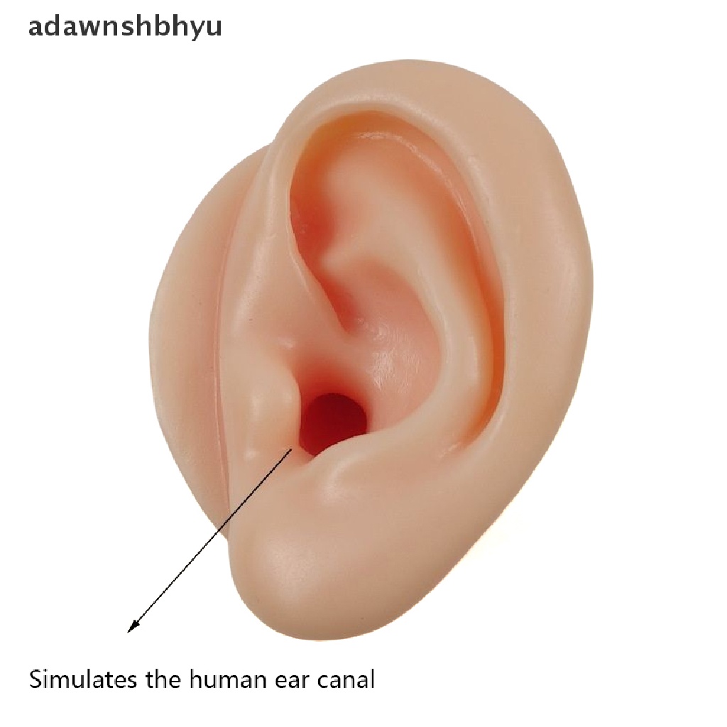 Set 1 / 2 Mô Hình Bấm Lỗ Tai Thực Hành Luyện Tập