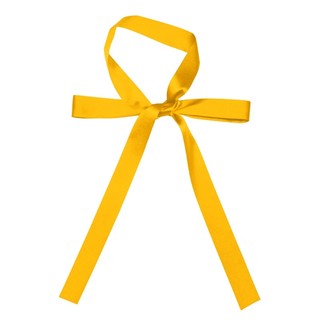 Khăn Quàng Cổ / Khăn Quàng Cổ Bằng Lụa Satin Cho Nữ